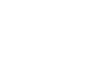 squids with socks